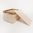 Caja rectangular plástica del cubo hermético