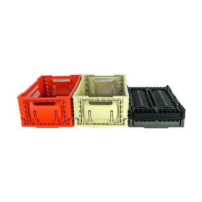 Cesta portátil plegable de la comida campestre 5L lista para enviar la carga 6kg