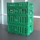 Cajones plásticos de la fruta plegable verde portátiles para las compras caseras