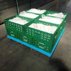 Cajón plástico verde los 600x400x220cm del almacenamiento para la legumbre de fruta