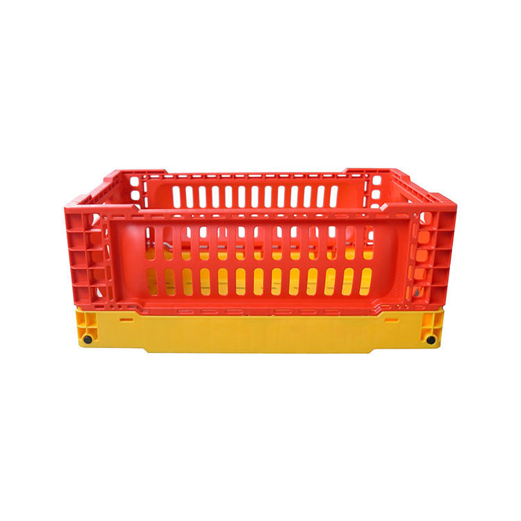 la cesta plegable 6kg del almacenamiento de la fruta 5L carga opciones del multicolor