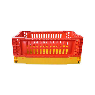 Calidad la cesta plegable 6kg del almacenamiento de la fruta 5L carga opciones del multicolor fábrica